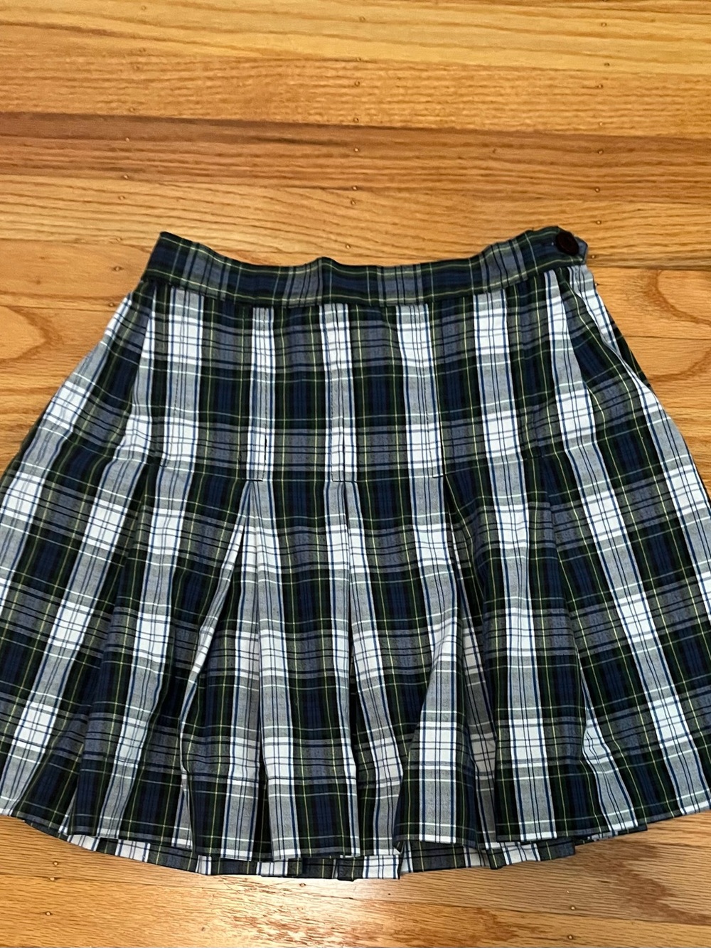 Pleated Plaid Skater Skirt in Navy, White & Green